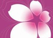 上海樱美印刷科技有限公司